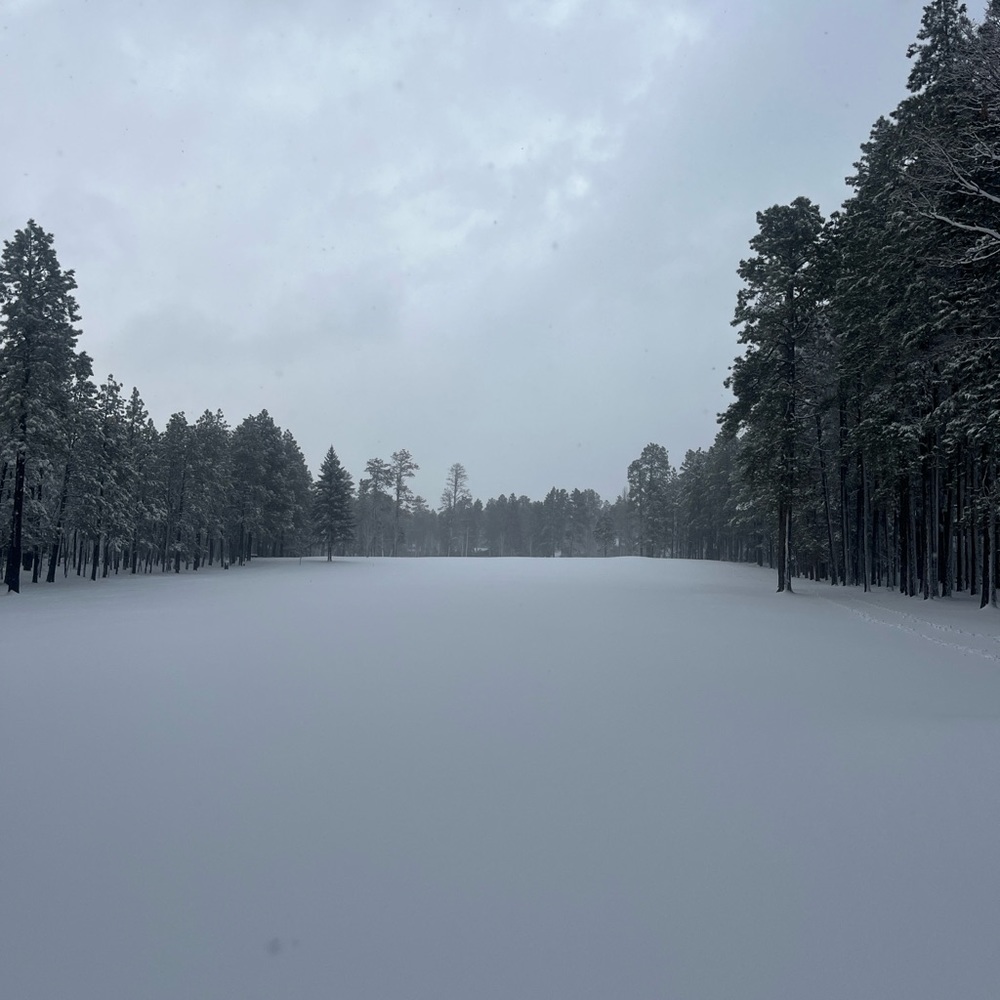 Meet your Posher, Maddie